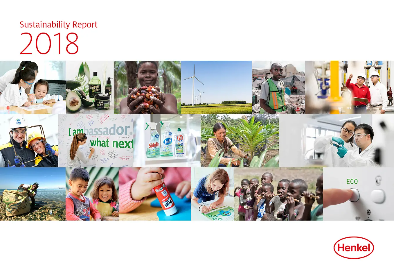 รายงานผลการพัฒนาความยั่งยืน ประจำปี 2018